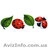 Курсы компьютерной графики - <ro>Изображение</ro><ru>Изображение</ru> #1, <ru>Объявление</ru> #5838