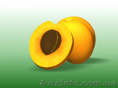 Сайты, интернет-магазины. Креативно, доступно - <ro>Изображение</ro><ru>Изображение</ru> #1, <ru>Объявление</ru> #5837