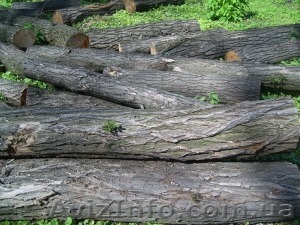 пиломатериалы из сосны и дуба - <ro>Изображение</ro><ru>Изображение</ru> #1, <ru>Объявление</ru> #12064