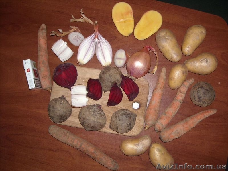 Буряк Лук Капуста пекинская Морковка  Картошка - <ro>Изображение</ro><ru>Изображение</ru> #1, <ru>Объявление</ru> #18477