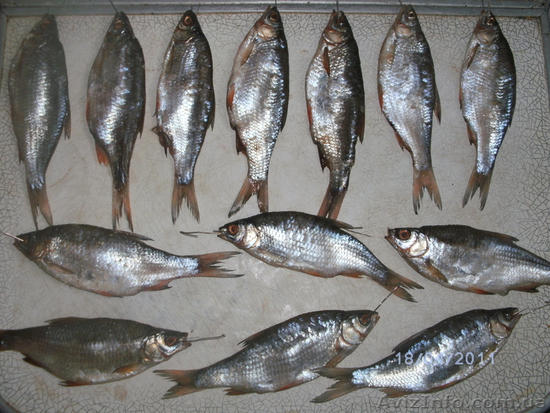 Рыба (тарань лящ карась) - <ro>Изображение</ro><ru>Изображение</ru> #1, <ru>Объявление</ru> #314214