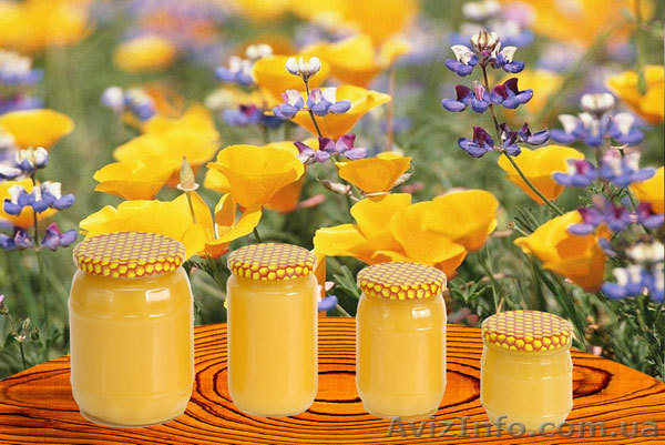 мед.опт и розница - <ro>Изображение</ro><ru>Изображение</ru> #1, <ru>Объявление</ru> #581587