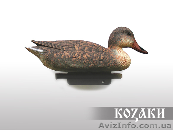 Муляж кряква пластмассовый утка (Италия) Новинка! - <ro>Изображение</ro><ru>Изображение</ru> #1, <ru>Объявление</ru> #611810