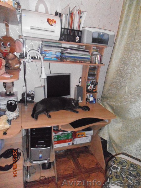 Стол компьтерный - <ro>Изображение</ro><ru>Изображение</ru> #1, <ru>Объявление</ru> #731836