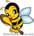 Продажа программы «M.E.Doc». Обучение в лучшей крупнейшей сети  - <ro>Изображение</ro><ru>Изображение</ru> #1, <ru>Объявление</ru> #763196