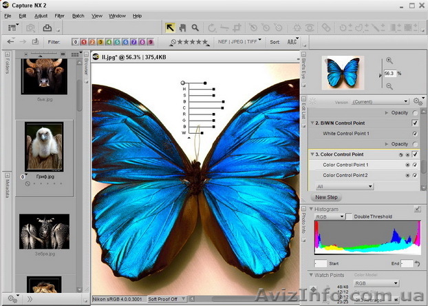 Курсы фотошоп.  УЧ «Территории знаний» - <ro>Изображение</ro><ru>Изображение</ru> #1, <ru>Объявление</ru> #777254