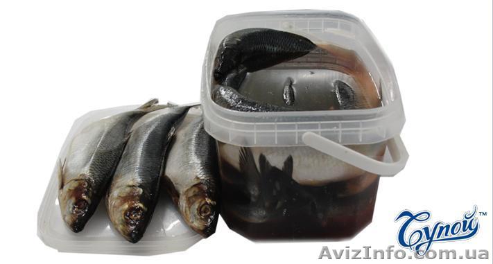 Рыба и рыбная продукция,вяленая конпченая,консервы присервы - <ro>Изображение</ro><ru>Изображение</ru> #1, <ru>Объявление</ru> #831694