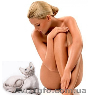 Технологии депиляции (воск, карамель, сахар) - <ro>Изображение</ro><ru>Изображение</ru> #1, <ru>Объявление</ru> #860748