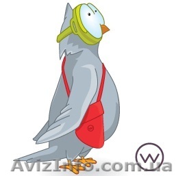 OrderWorld -сервис покупки и доставки товаров со всего мира - <ro>Изображение</ro><ru>Изображение</ru> #1, <ru>Объявление</ru> #857486