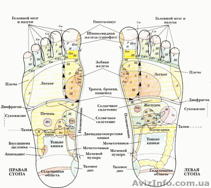 Уставшие ножки?Тогда Вам именно сюда!Курсы массажа ног - <ro>Изображение</ro><ru>Изображение</ru> #1, <ru>Объявление</ru> #864638