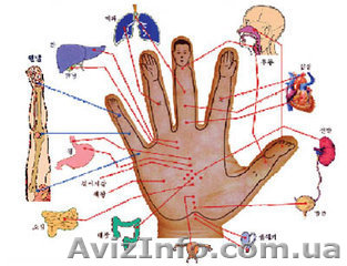 Радость для ваших ручек. Только в "Академии успеха" - <ro>Изображение</ro><ru>Изображение</ru> #1, <ru>Объявление</ru> #864624