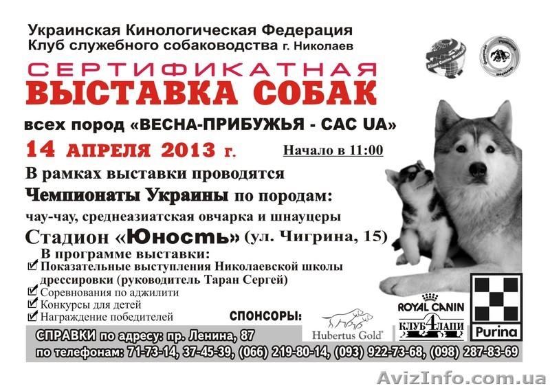 Сертификатная выствка собак! - <ro>Изображение</ro><ru>Изображение</ru> #1, <ru>Объявление</ru> #869758