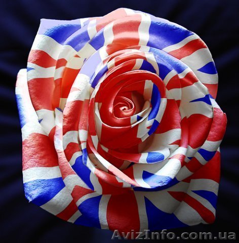 Английский для всех!!! Курсы Академия успеха - <ro>Изображение</ro><ru>Изображение</ru> #1, <ru>Объявление</ru> #874096