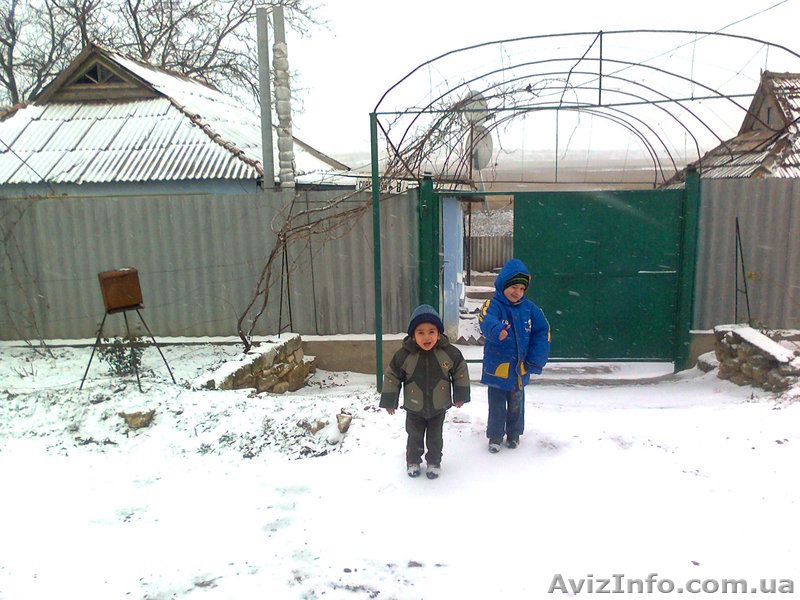 bashtanskiy r-n, poselok kostichi - <ro>Изображение</ro><ru>Изображение</ru> #1, <ru>Объявление</ru> #877686