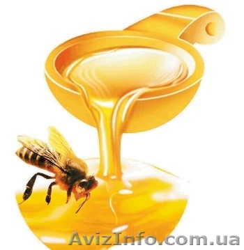 Правильный мед оптом - <ro>Изображение</ro><ru>Изображение</ru> #1, <ru>Объявление</ru> #907117