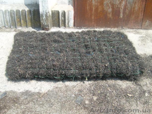 КАМКА утеплитель экологический - <ro>Изображение</ro><ru>Изображение</ru> #1, <ru>Объявление</ru> #913304