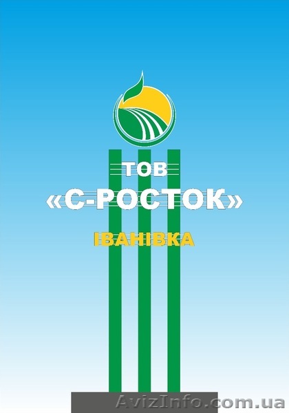 Продаем овощи ООО С-Росток - <ro>Изображение</ro><ru>Изображение</ru> #1, <ru>Объявление</ru> #949953