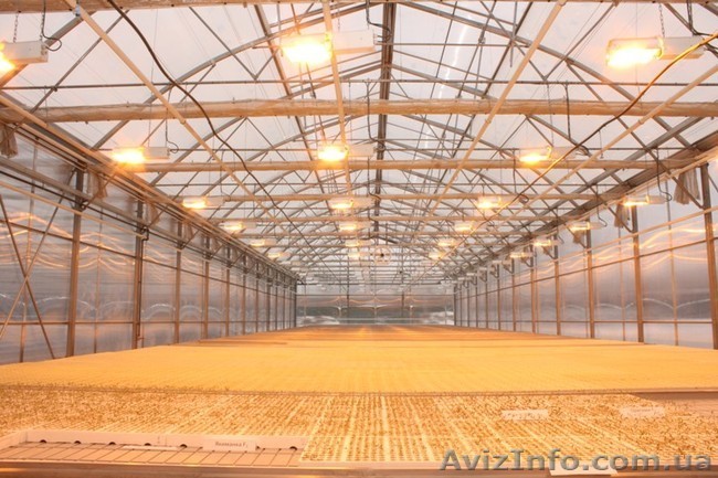 Тепличный кабель,обогрев теплиц,оранжерей - <ro>Изображение</ro><ru>Изображение</ru> #1, <ru>Объявление</ru> #961505