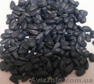 продам семена гибридов F1 подсолнечника - <ro>Изображение</ro><ru>Изображение</ru> #1, <ru>Объявление</ru> #1036134