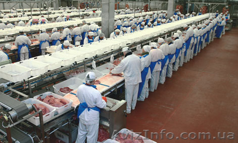 Бесплатное трудоустройство в Польше - <ro>Изображение</ro><ru>Изображение</ru> #1, <ru>Объявление</ru> #1095111