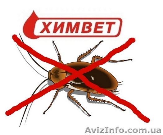 Уничтожение тараканов  - <ro>Изображение</ro><ru>Изображение</ru> #1, <ru>Объявление</ru> #1139475