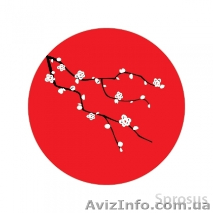 Японский. Курсы в Николаеве СПЕШИТЕ ЗАПИСАТЬСЯ!! - <ro>Изображение</ro><ru>Изображение</ru> #1, <ru>Объявление</ru> #1154690