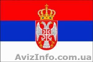 Сербский. Курсы в Николаеве - <ro>Изображение</ro><ru>Изображение</ru> #1, <ru>Объявление</ru> #1154688