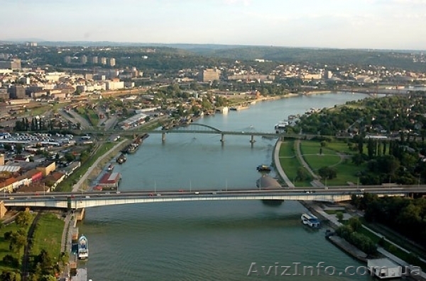 Сербский. Курсы в Николаеве.  - <ro>Изображение</ro><ru>Изображение</ru> #1, <ru>Объявление</ru> #1160850