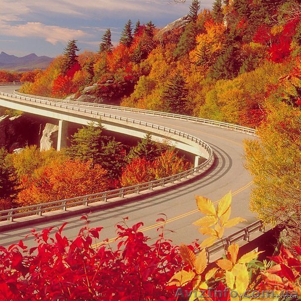 КАНАДА (ПМЖ,УЧЕБА)  ИММИГРАЦИЯ - <ro>Изображение</ro><ru>Изображение</ru> #1, <ru>Объявление</ru> #1181695