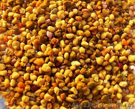 Продаю цветочную пыльцу - <ro>Изображение</ro><ru>Изображение</ru> #1, <ru>Объявление</ru> #1295414