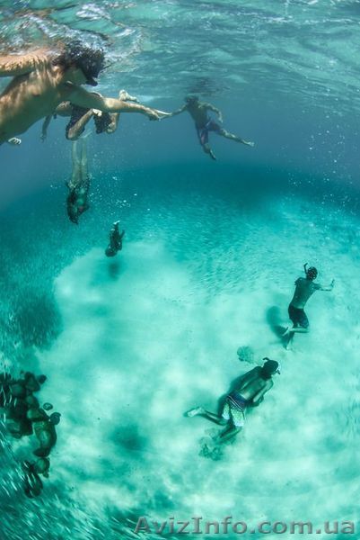 Організація активного відпочинку. Дайвінг. - <ro>Изображение</ro><ru>Изображение</ru> #1, <ru>Объявление</ru> #1403542