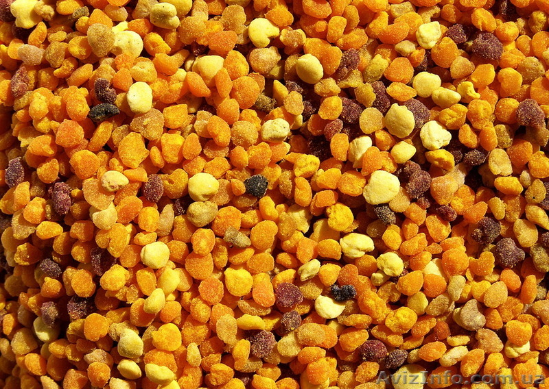 Продам качественную пыльцу - <ro>Изображение</ro><ru>Изображение</ru> #1, <ru>Объявление</ru> #1461450