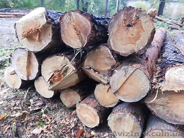 Дрова в Николаеве. - <ro>Изображение</ro><ru>Изображение</ru> #1, <ru>Объявление</ru> #1524882