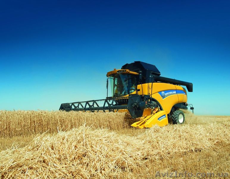 КОМБАЙН ЗЕРНОУБОРОЧНЫЙ NEW HOLLAND СХ 6090 - <ro>Изображение</ro><ru>Изображение</ru> #1, <ru>Объявление</ru> #1545023