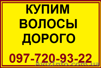 Волосы. Продажа волос в Николаеве. Скупка волос. Продать волосы дорого. Цена вол - <ro>Изображение</ro><ru>Изображение</ru> #1, <ru>Объявление</ru> #1576434