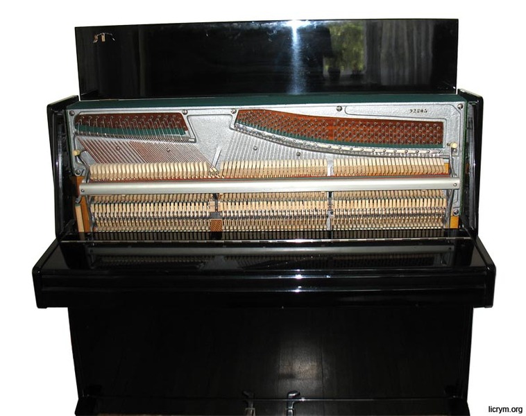 Настройка и ремонт пианино. - <ro>Изображение</ro><ru>Изображение</ru> #1, <ru>Объявление</ru> #1645625