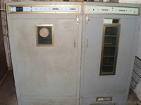 Инкубатор на 5000 яиц - <ro>Изображение</ro><ru>Изображение</ru> #1, <ru>Объявление</ru> #134277