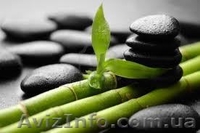 Курсы массажа с базальтовыми камнями!Обучение в УЦ "Академия успеха" - <ro>Изображение</ro><ru>Изображение</ru> #3, <ru>Объявление</ru> #854191