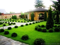      Гармония человека и природы.Ландшафтный дизайн.Месяц обучения- и вы её твор - <ro>Изображение</ro><ru>Изображение</ru> #2, <ru>Объявление</ru> #854093