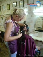 Курсы парикмахера. Обучениев Николаеве. - <ro>Изображение</ro><ru>Изображение</ru> #1, <ru>Объявление</ru> #1043111