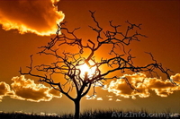 Фото курсы обучение "Основы ТВОРЧЕСКОЙ фотографии" в Николаеве - <ro>Изображение</ro><ru>Изображение</ru> #4, <ru>Объявление</ru> #1210148