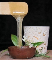 Курсы Дeпиляции в Николаеве СКИДКИ!! СПЕШИТЕ ЗАПИСАТЬСЯ!!   - <ro>Изображение</ro><ru>Изображение</ru> #1, <ru>Объявление</ru> #1279791