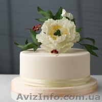 Курсы кондитеров  в Николаеве.Сахарные цветы - <ro>Изображение</ro><ru>Изображение</ru> #1, <ru>Объявление</ru> #1286385