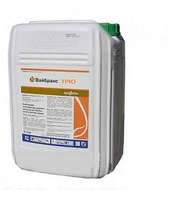  Протруйники виробництва «Сингента» (Syngenta) ( Швейцарія),оригінал.  - <ro>Изображение</ro><ru>Изображение</ru> #4, <ru>Объявление</ru> #1682197