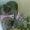 шотландские котята - <ro>Изображение</ro><ru>Изображение</ru> #1, <ru>Объявление</ru> #54740
