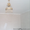 Продам 2-х комнатную квартиру в центре Николаева - <ro>Изображение</ro><ru>Изображение</ru> #1, <ru>Объявление</ru> #434856