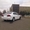 Автомобиль для свадьбы Honda Civic белого цвета - <ro>Изображение</ro><ru>Изображение</ru> #4, <ru>Объявление</ru> #504704