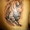 Tattoo для всех - <ro>Изображение</ro><ru>Изображение</ru> #5, <ru>Объявление</ru> #692018
