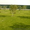 Ландшафтный дизайн,озеленение в Николаеве - <ro>Изображение</ro><ru>Изображение</ru> #4, <ru>Объявление</ru> #809759