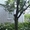 продам  дачу ухоженную с ремонтом  окна металлопласт сад  огород  ухоженный  2 - <ro>Изображение</ro><ru>Изображение</ru> #7, <ru>Объявление</ru> #870912